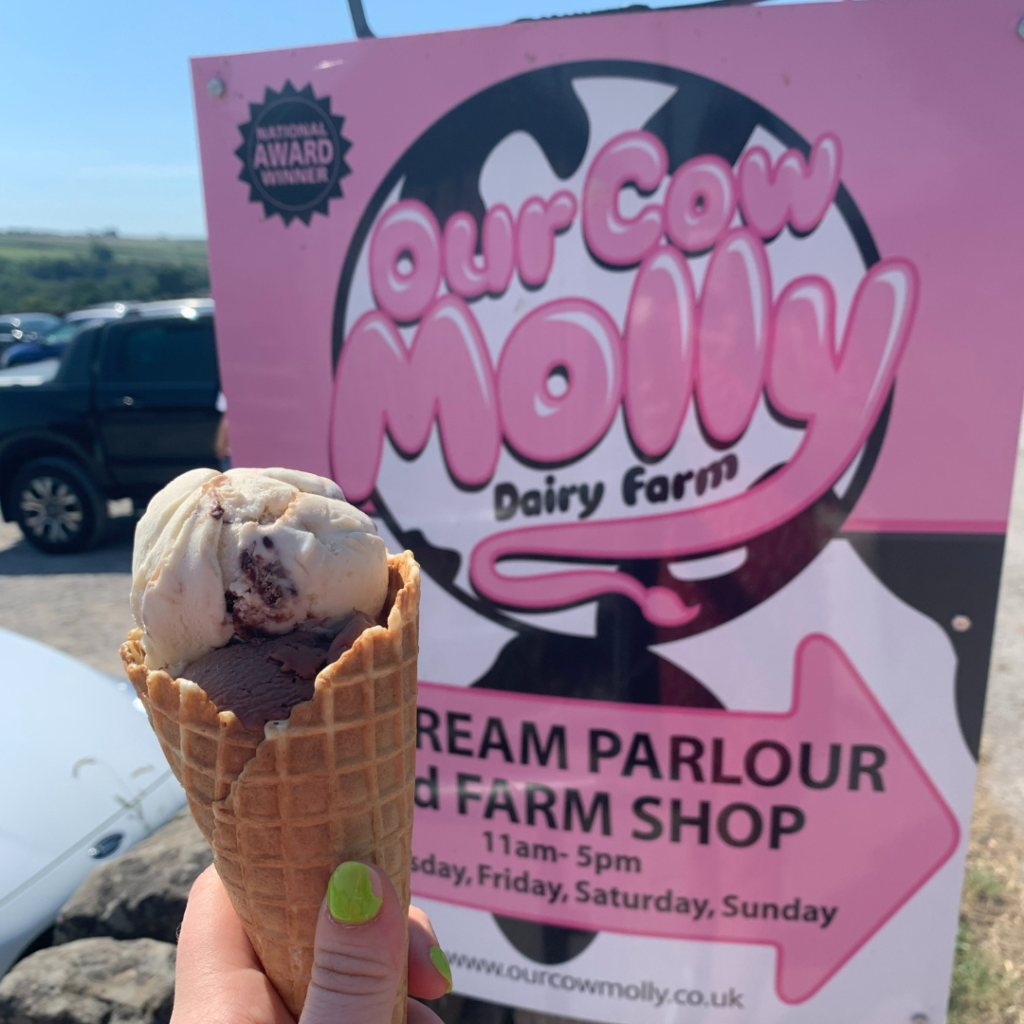 Our Cow Molly Ice Cream Parlour and ice cream